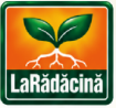 La Rădăcină